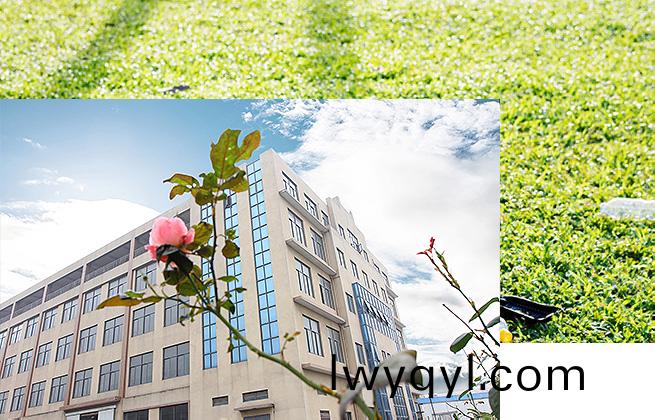 關(guān)(guan)于(yu)我們(men)