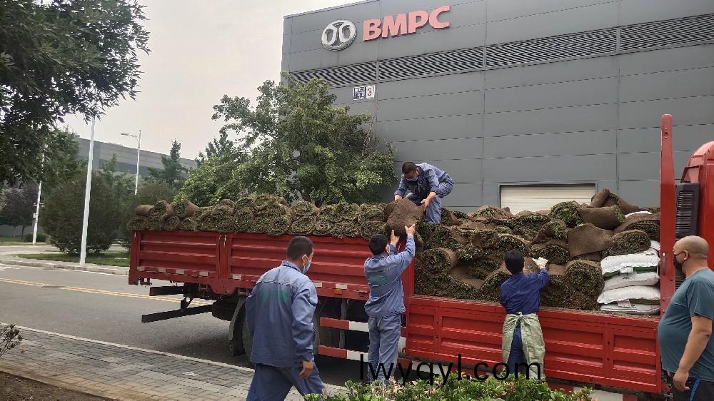 綠化(hua)工(gong)程(cheng)