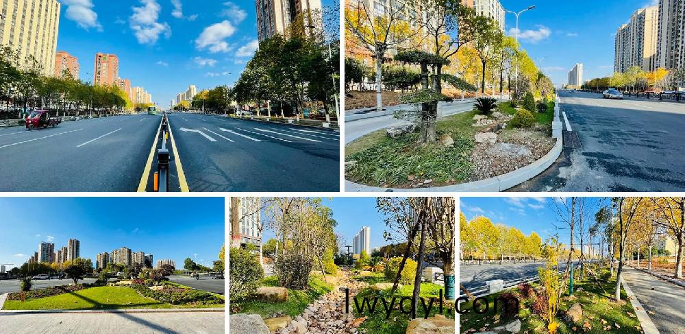 信陽(yáng)(yang)市(shi)新(xin)五大道綜(zong)郃(he)改造項(xiàng)目(mu)EPC工(gong)程總(zong)承包(bao)K5+420-K8+381段(duan)景觀(guan)綠(lv)化工程